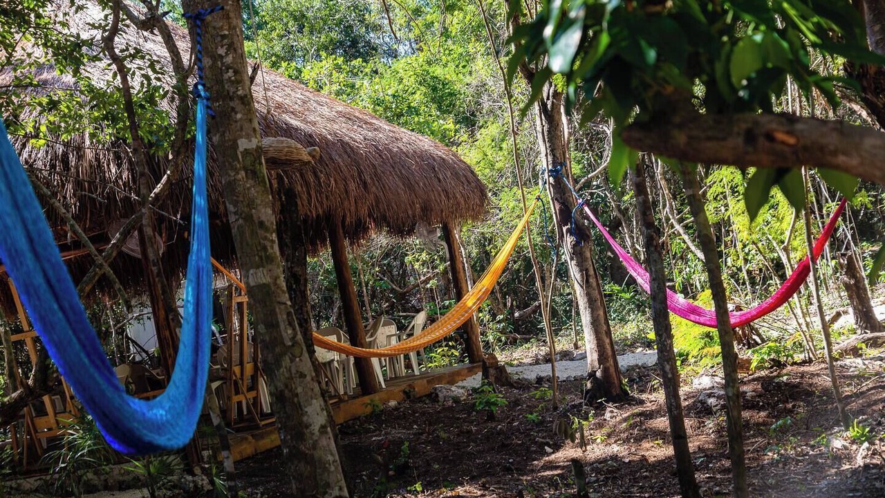 Photo of Others in Akumal