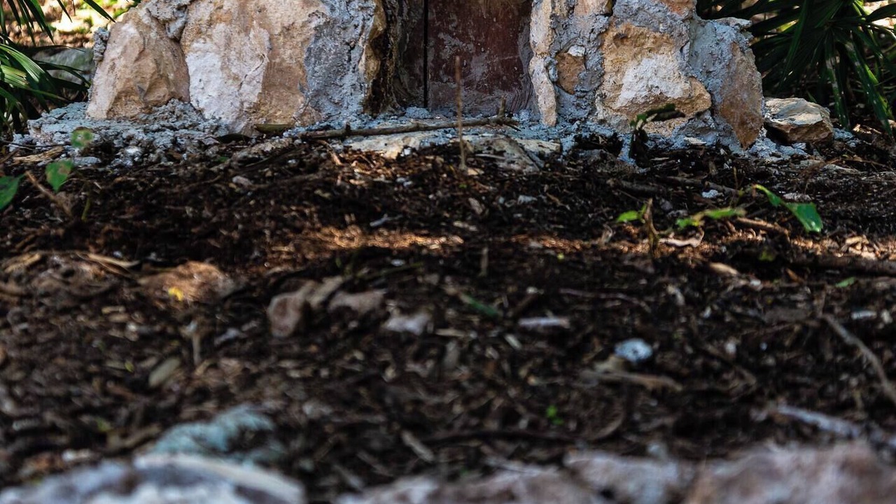 Photo of Outdoor in Akumal