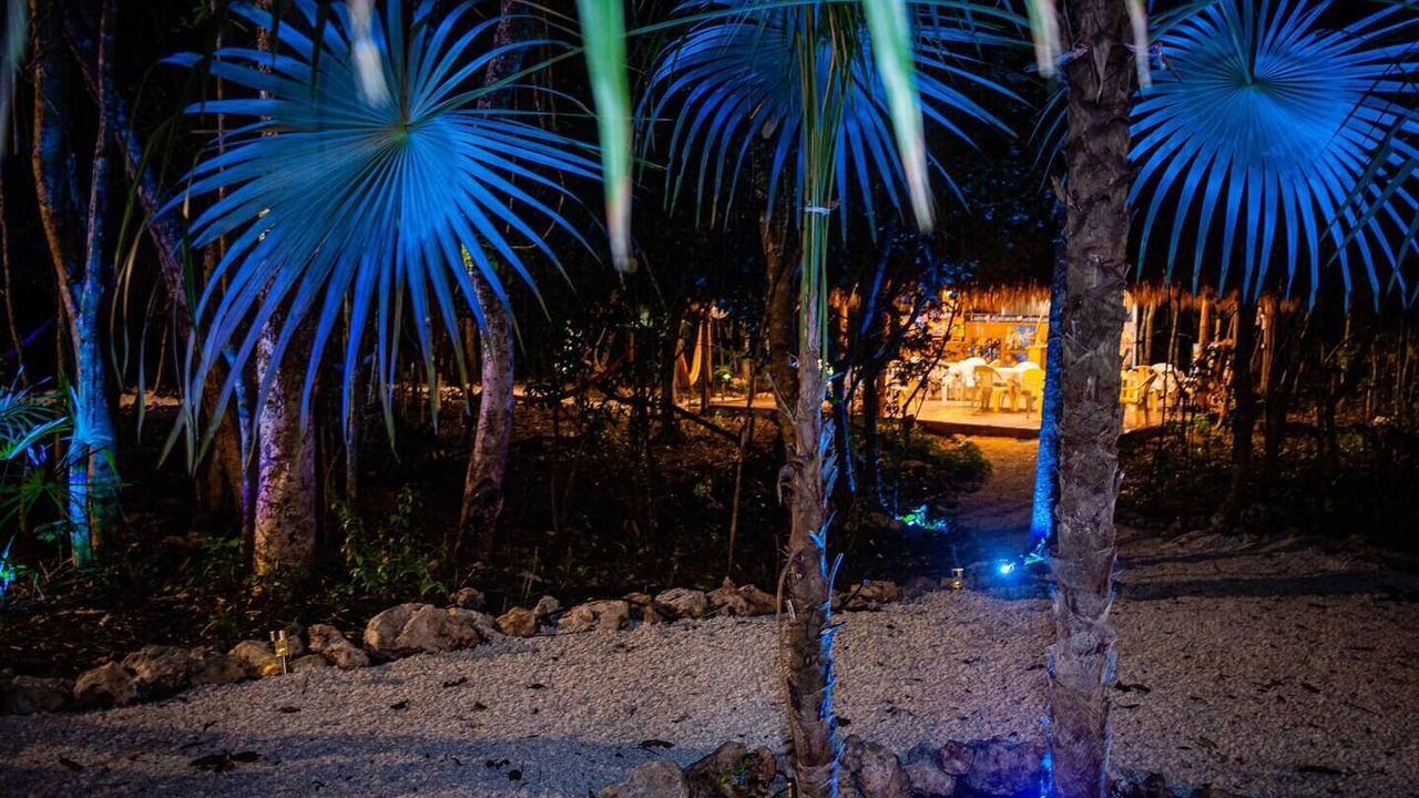 Photo of Outdoor in Akumal
