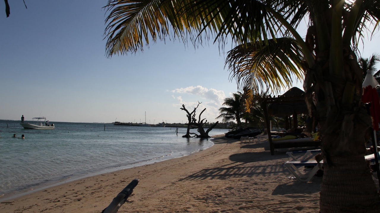 Photo of Others in Mahahual