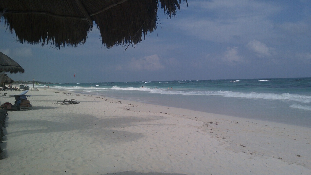 Photo of Others in Puerto Aventuras