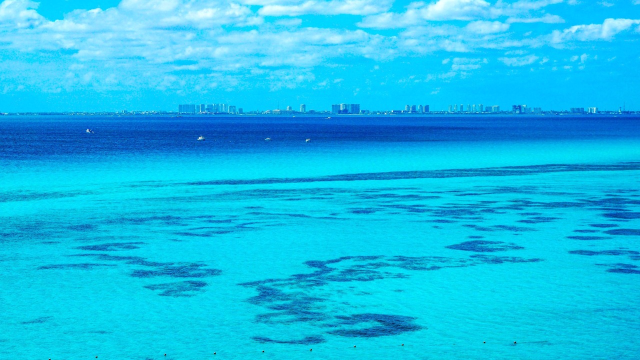 Photo of Others in Isla Mujeres