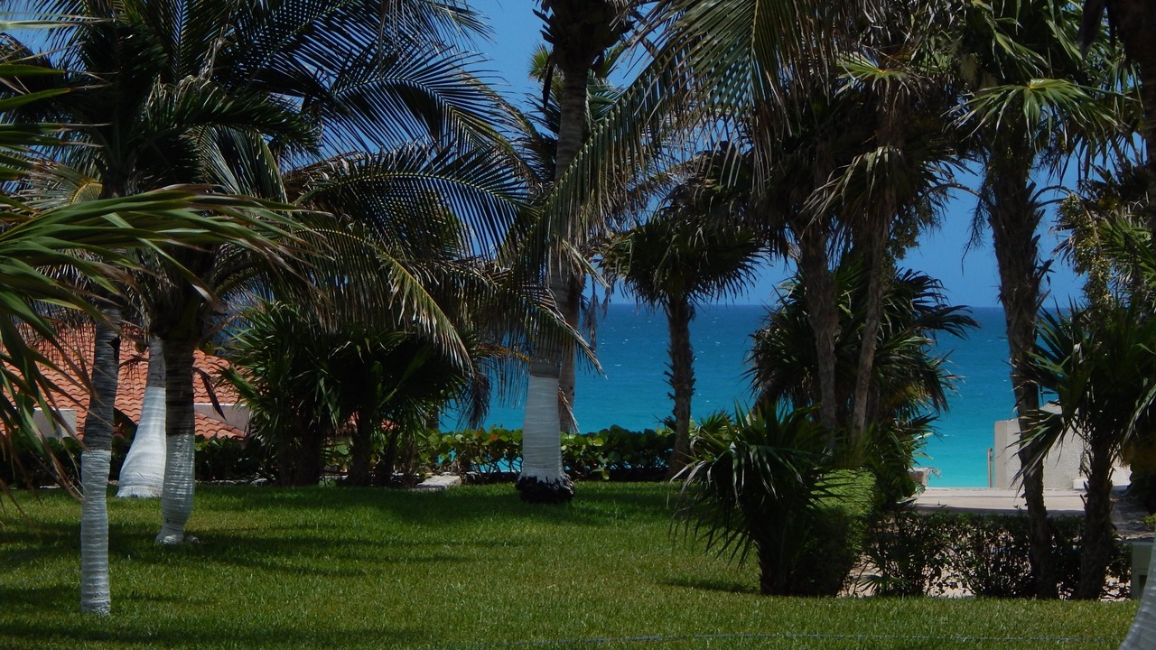 Photo of Others in Zona Hotelera