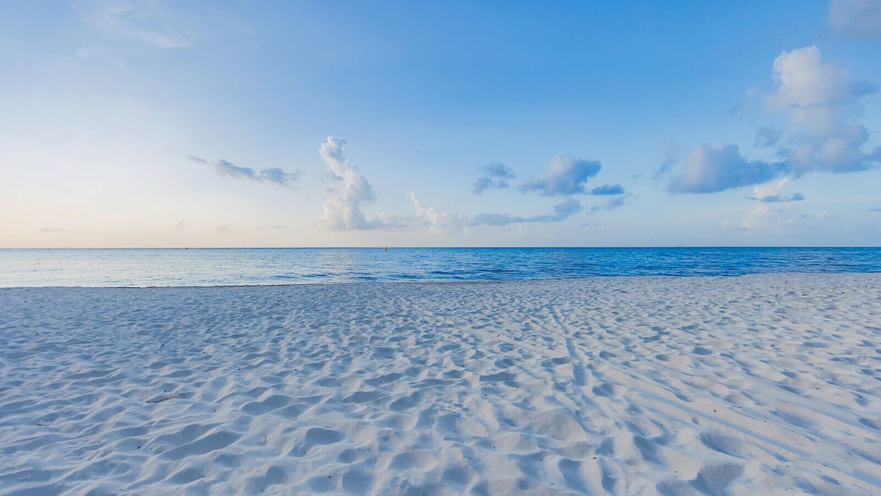 Photo of Others in Cozumel