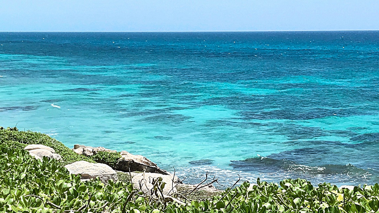 Photo of Others in Isla Mujeres