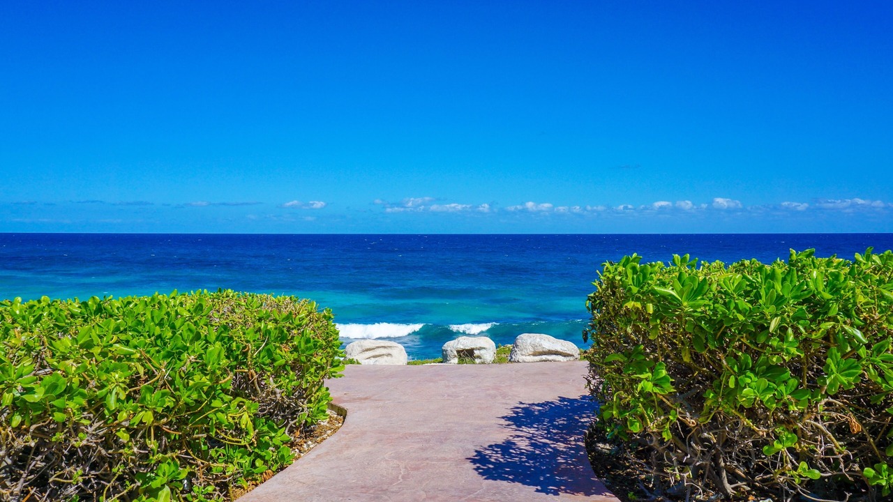 Photo of Others in Isla Mujeres