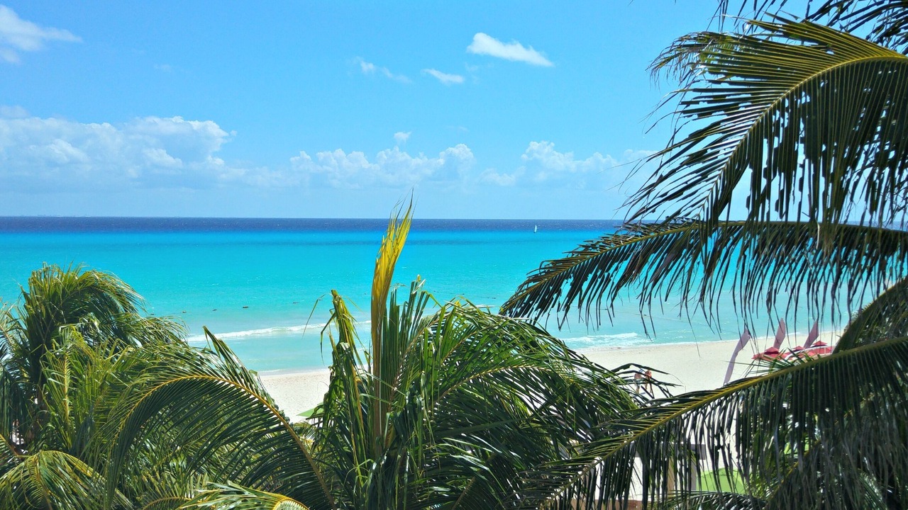 Photo of Patio Balcony in Playacar Fase I