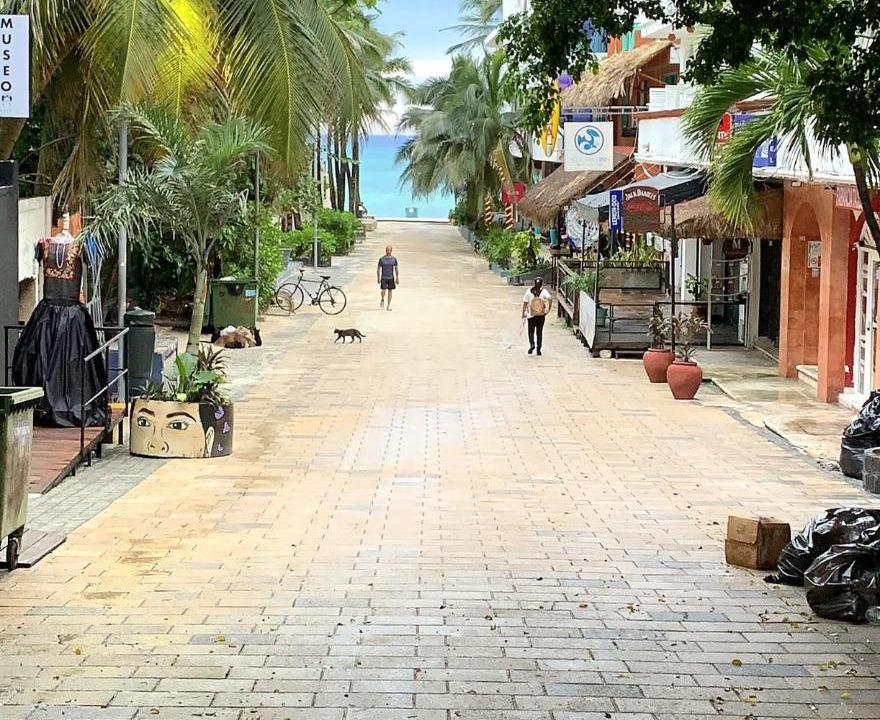 Photo of Others in Playacar