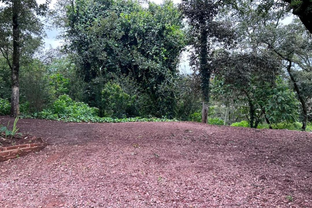 Photo of Outdoor in Acaxochitlan