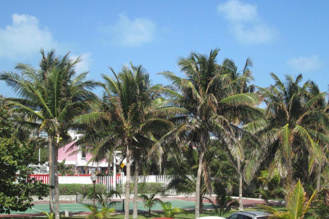 Photo of Others in Punta Cancun