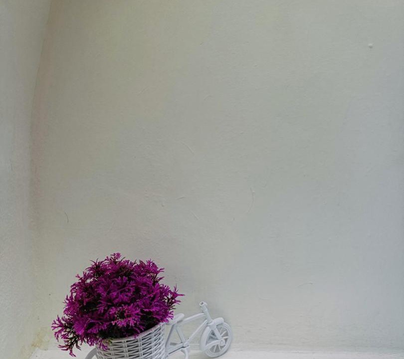 Photo of Others in Izamal