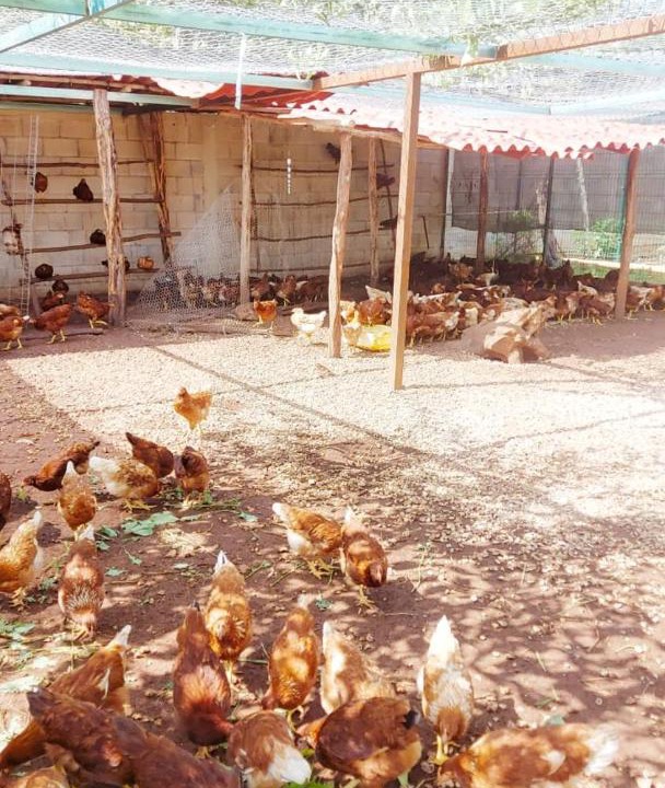 Photo of Others in Espita