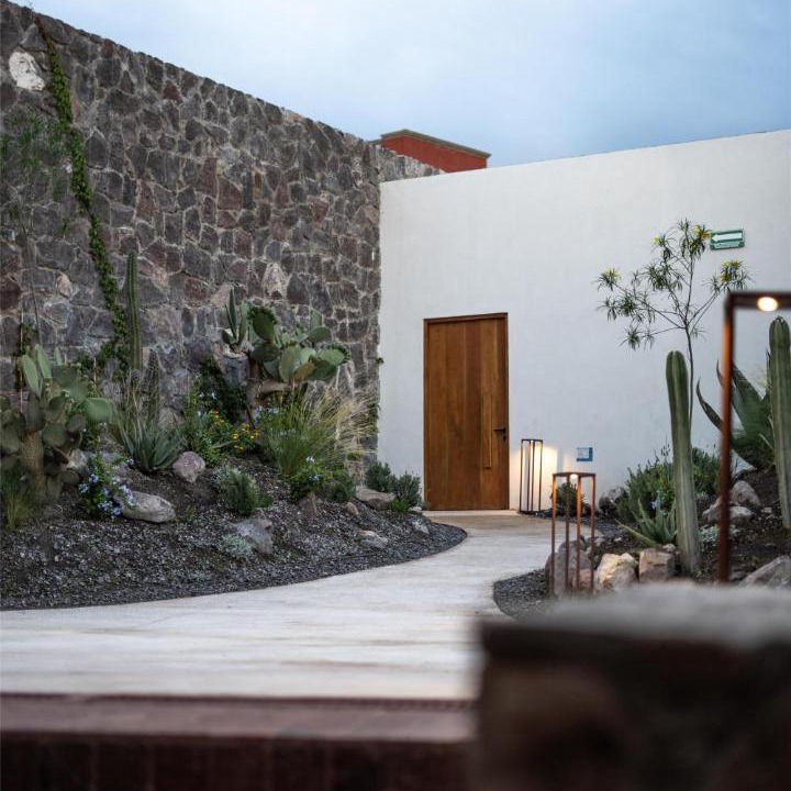 Photo of Others in San Miguel de Allende