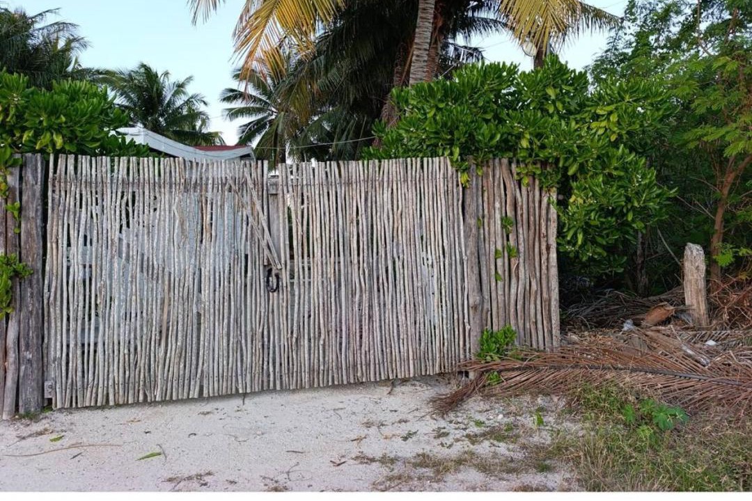 Photo of Others in Telchac Puerto