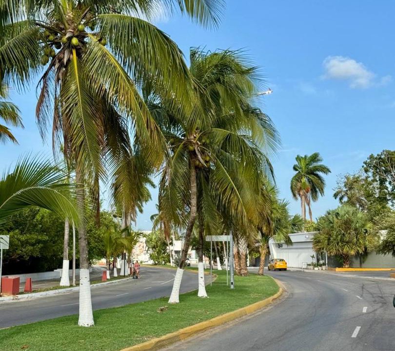 Photo of Others in Chetumal