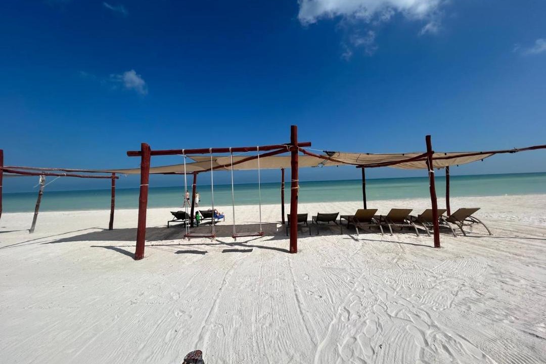 Photo of Others in Isla Holbox