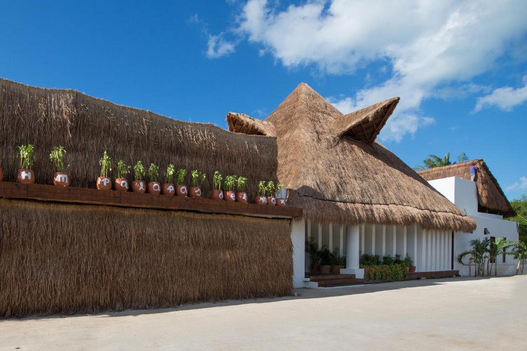 Photo of Others in Isla Holbox