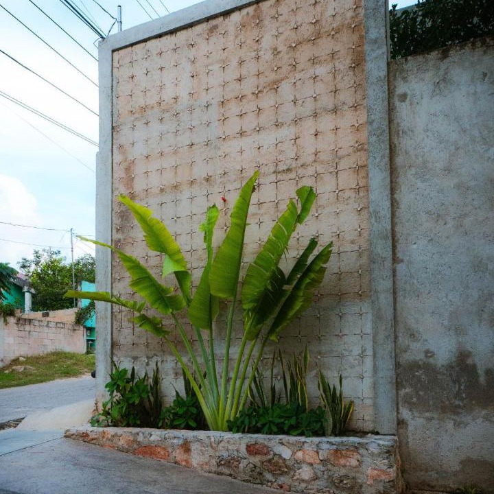 Photo of Others in Chichen Itza - Valladolid