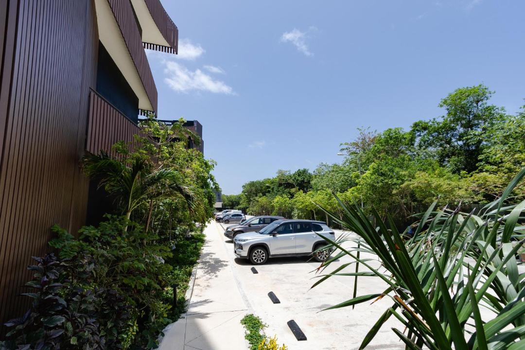 Photo of Others in Playa Paraiso