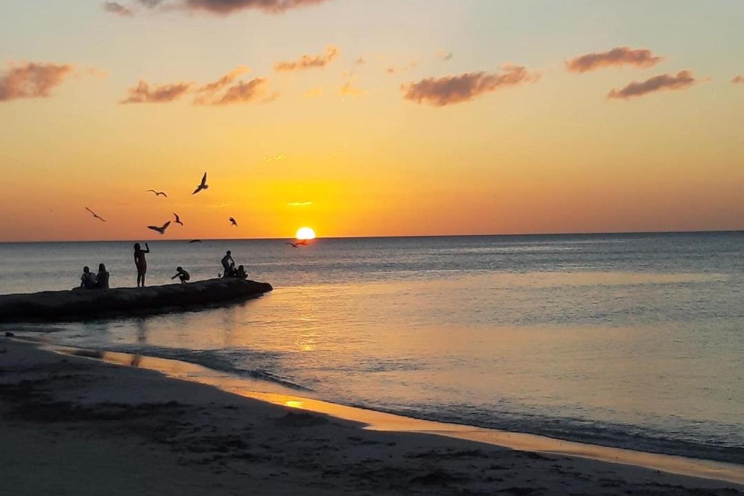 Photo of Others in Isla Holbox