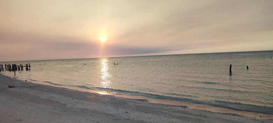 Photo of Others in Isla Holbox