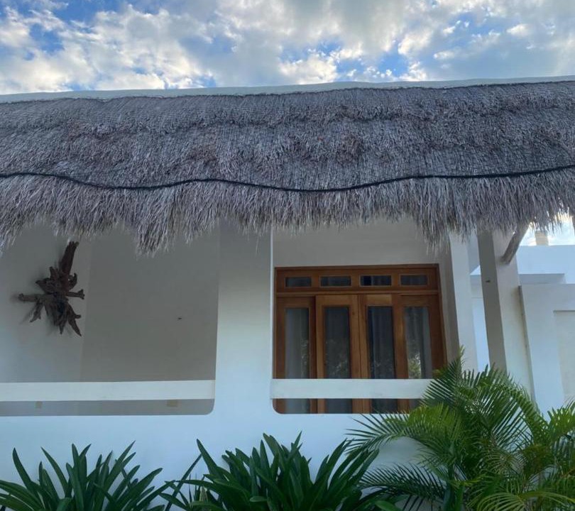 Photo of Others in Isla Holbox