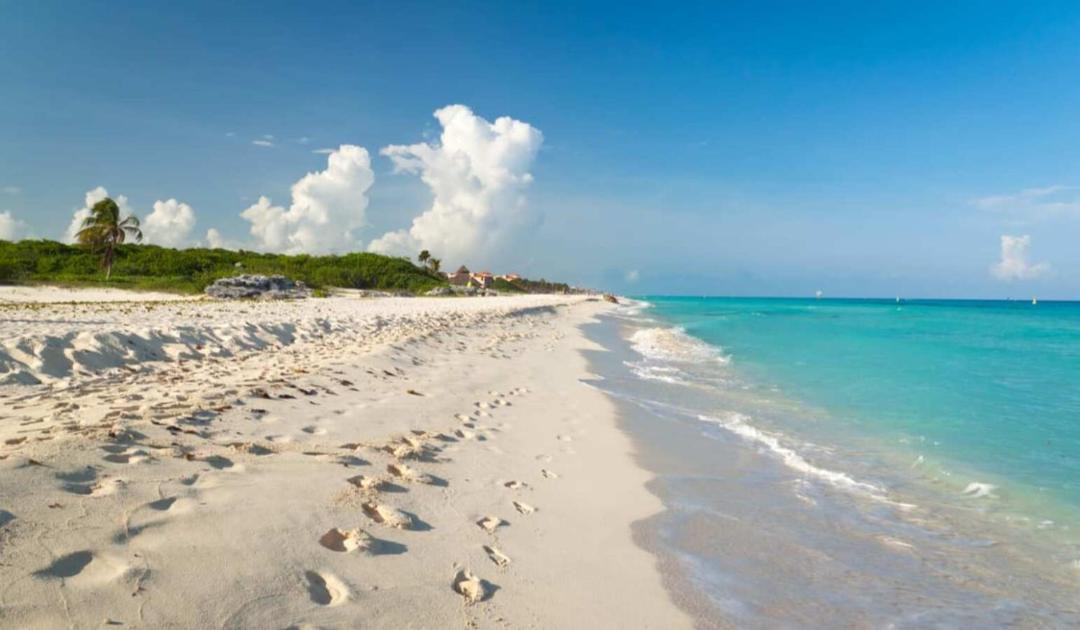 Photo of Others in Playacar