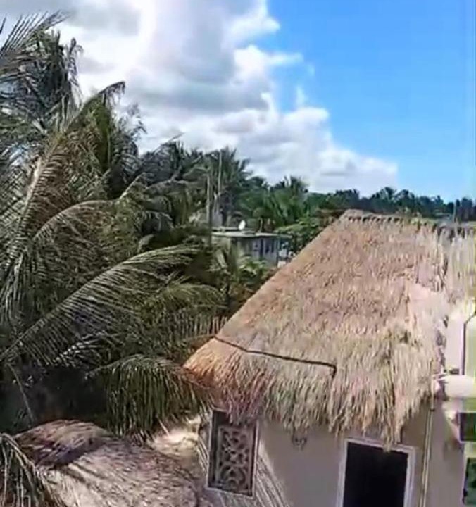 Photo of Others in Telchac Puerto