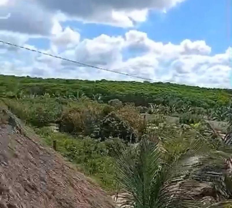 Photo of Others in Telchac Puerto