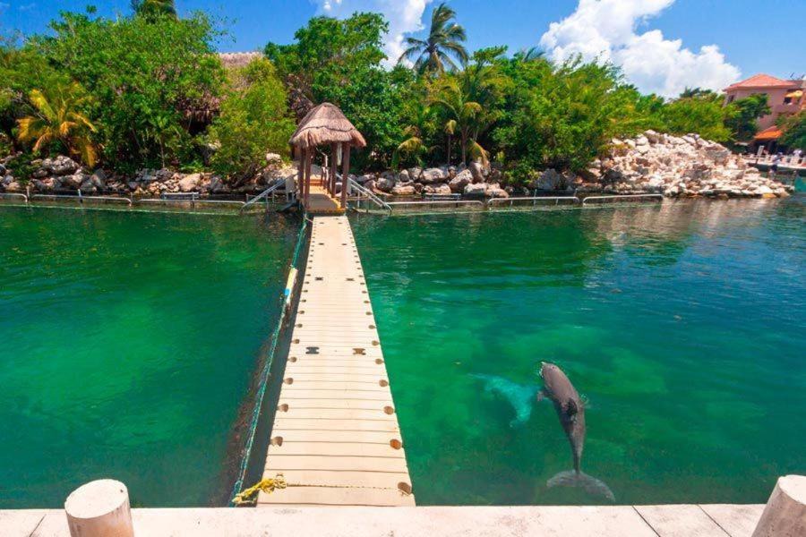 Photo of Others in Puerto Aventuras