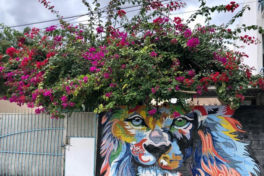 Photo of Outdoor in Colonia Andres