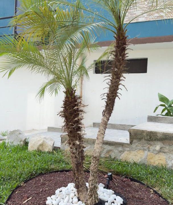 Photo of Outdoor in Chiapa De Corzo
