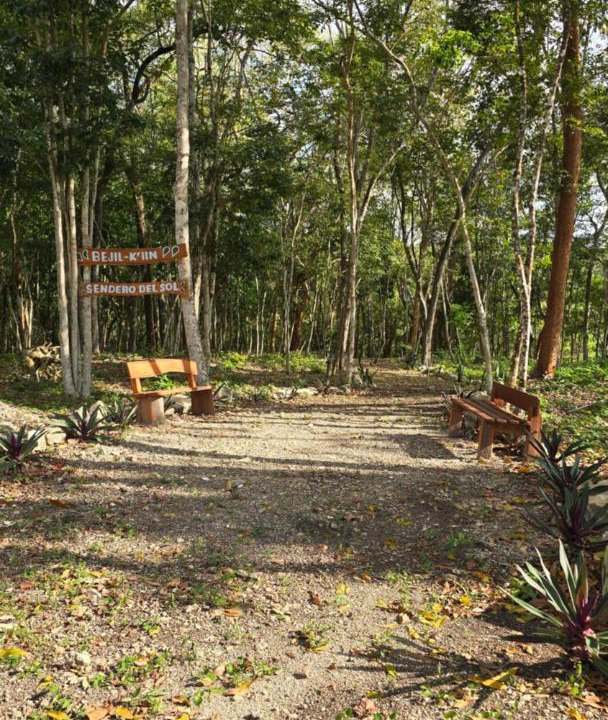 Photo of Others in Calakmul