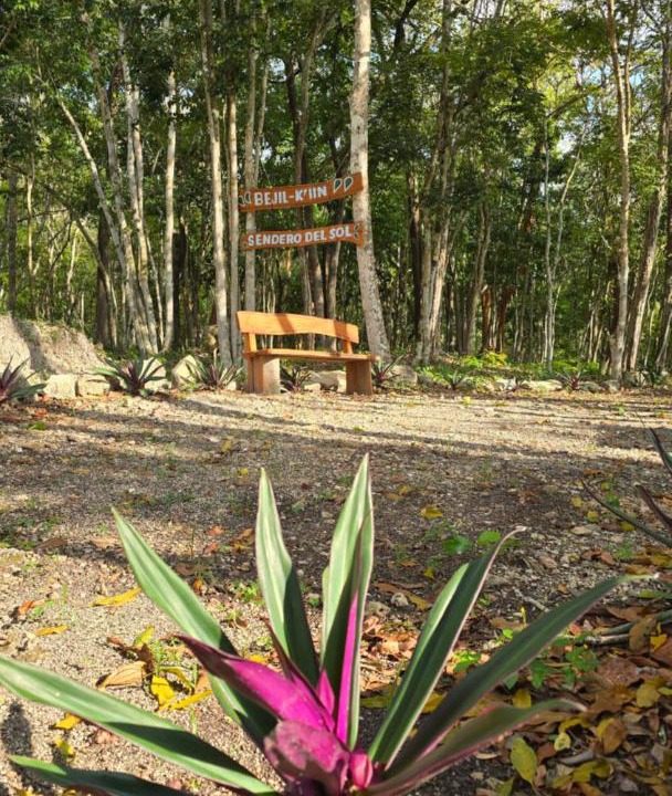 Photo of Others in Calakmul