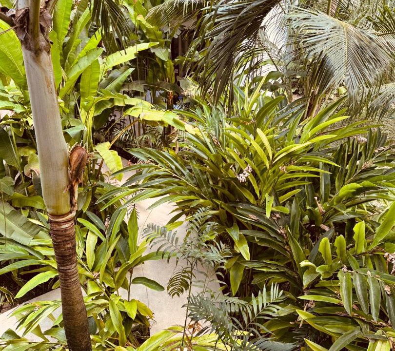 Photo of Others in Bacalar