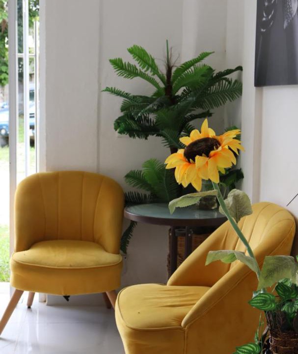 Photo of Livingroom in Bacalar