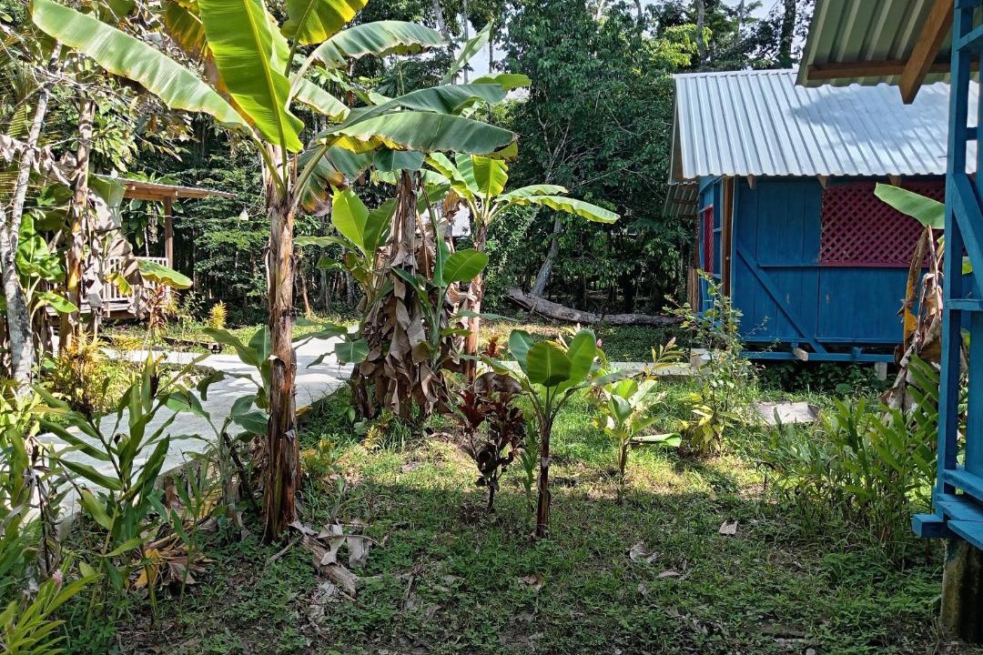 Photo of Others in Puerto Barrios