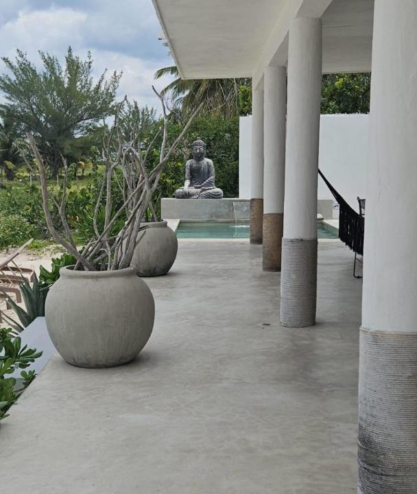 Photo of Others in Sisal