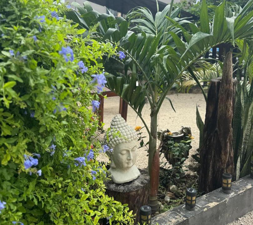 Photo of Outdoor in Chetumal