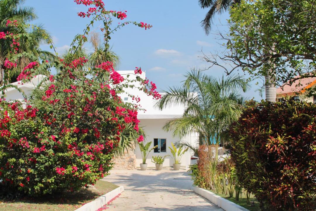 Photo of Others in Chetumal