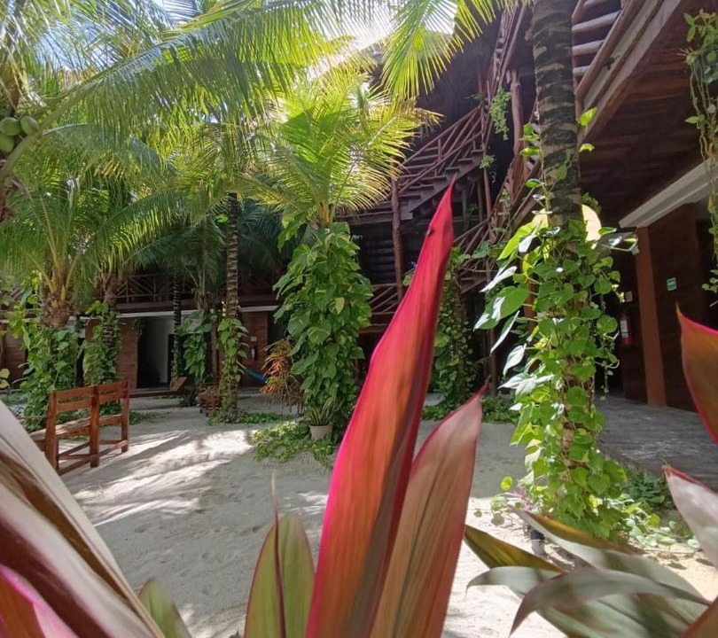Photo of Others in Majahual