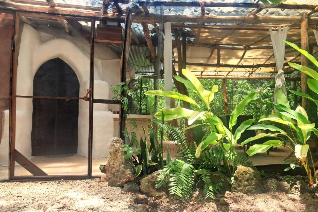 Photo of Others in Buenavista
