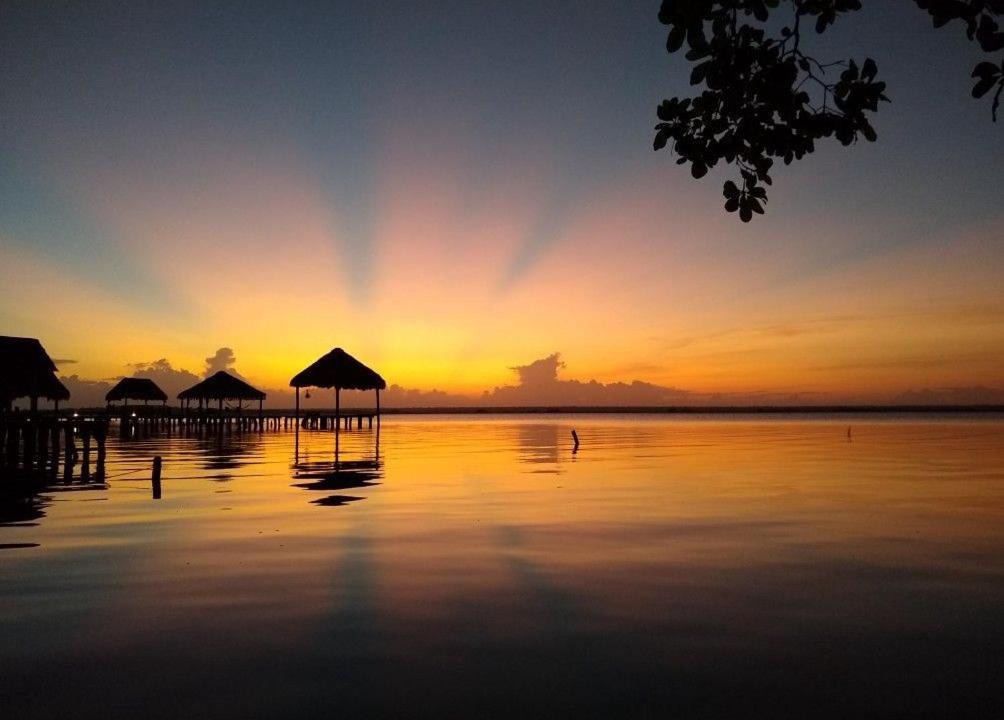 Photo of Others in Chetumal