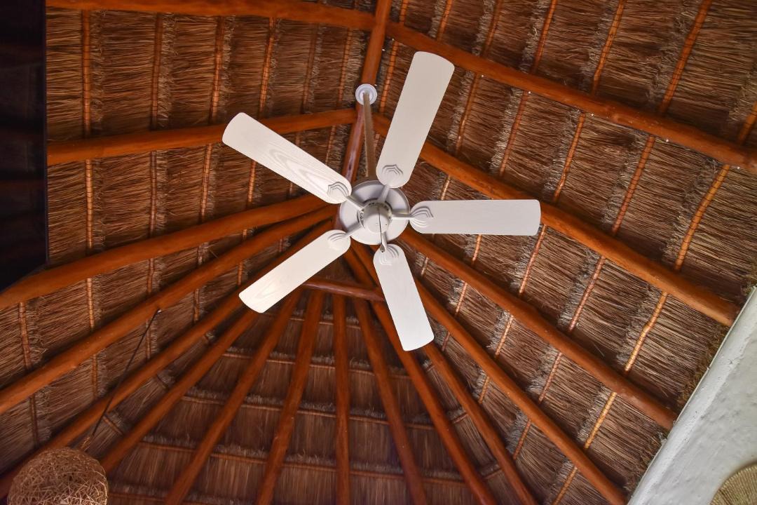 Photo of Others in Isla Holbox