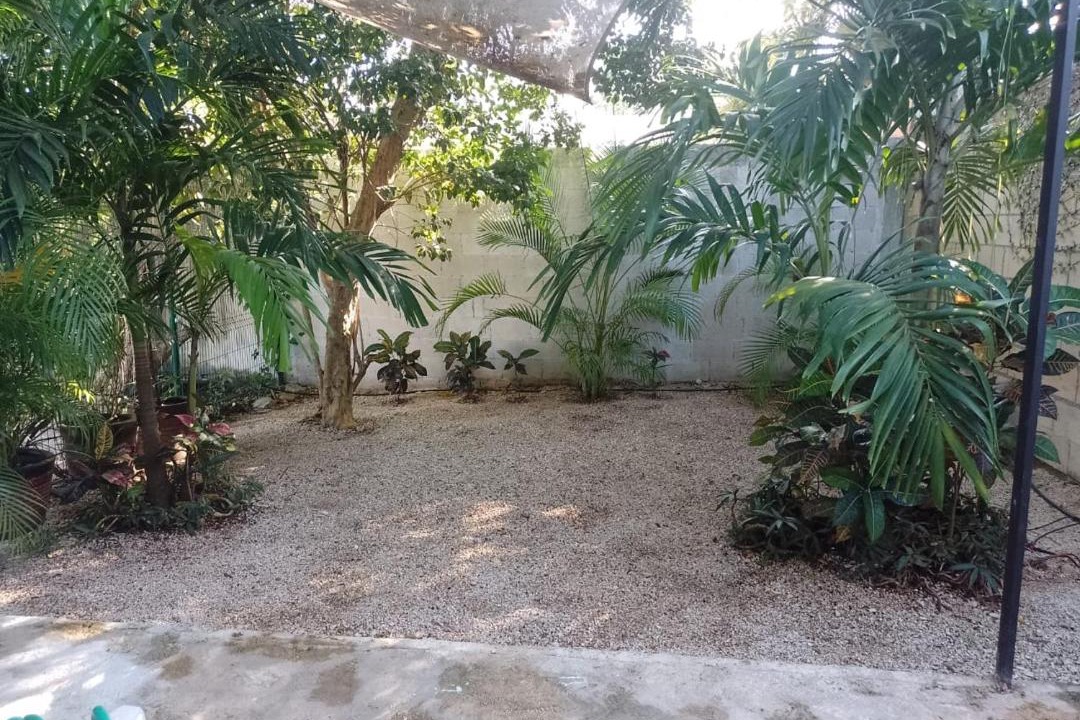Photo of Others in Puerto Morelos