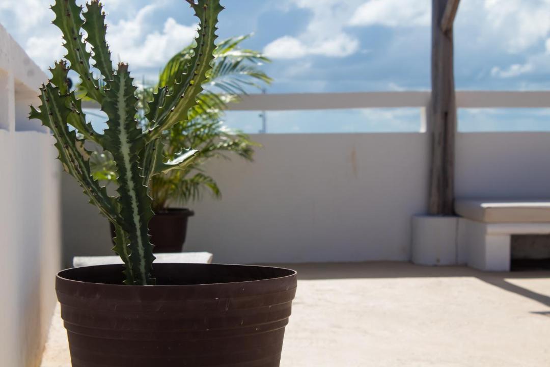 Photo of Others in Isla Mujeres