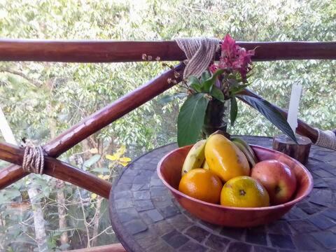 Photo of Patio Balcony in Leona Vicario