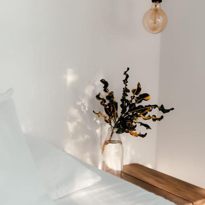 Photo of Bedroom in Bacalar