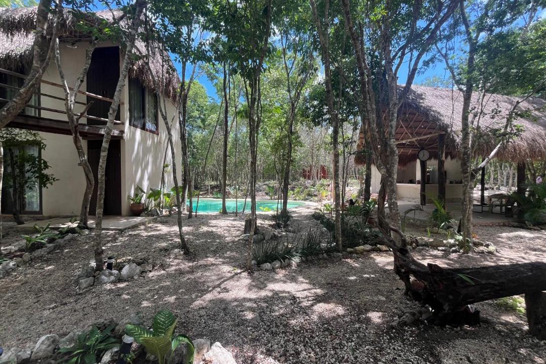 Photo of Others in Tulum