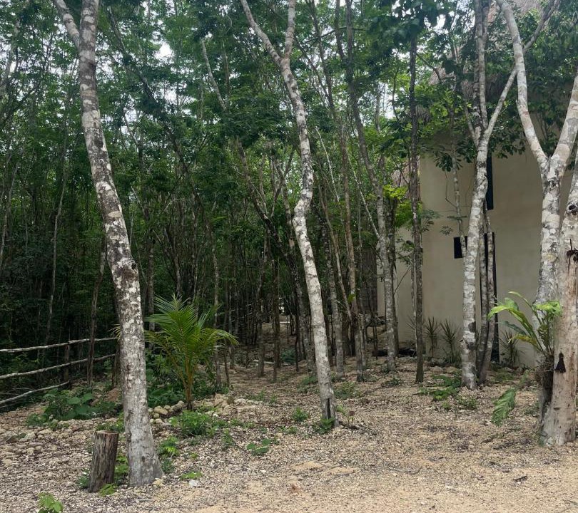 Photo of Others in Tulum